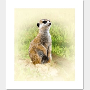 Meerkat Posters and Art